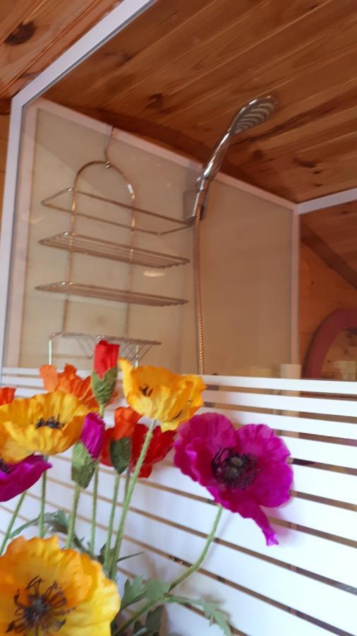 Chambres Et Roulotte De La Gentilhommiere Chazey-sur-Ain Екстериор снимка